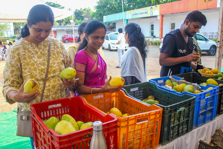 Centre sets up experts’ panel to boost earnings of Andhra's mango farmers
