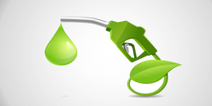 'Fear-mongering claims': Govt trashes social media claims on harmful effects of E20 petrol