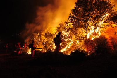 Wildfire rages in Spain, scorching 2,300 hectares of land